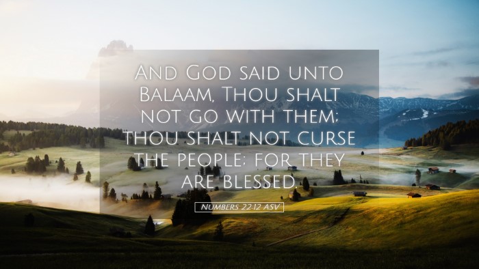 Picture 05 - Numbers 22:12 ASV Desktop Wallpaper - And God said unto Balaam, Thou shalt not go with - Desktop Bible Verse Wallpaper