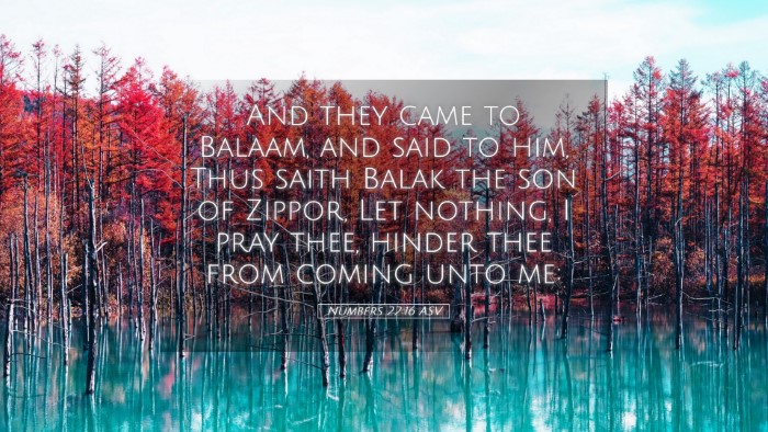 Picture 05 - Numbers 22:16 ASV Desktop Wallpaper - And they came to Balaam, and said to him, Thus - Desktop Bible Verse Wallpaper