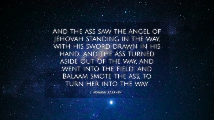 Picture 05 - Numbers 22:23 ASV Desktop Wallpaper - And the ass saw the angel of Jehovah standing in - Desktop Bible Verse Wallpaper
