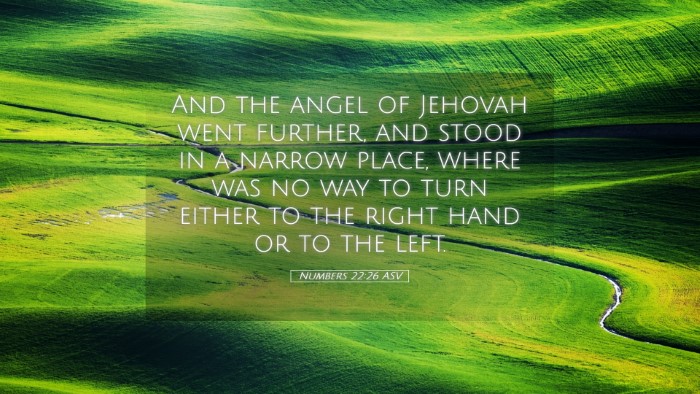 Picture 05 - Numbers 22:26 ASV Desktop Wallpaper - And the angel of Jehovah went further, and stood - Desktop Bible Verse Wallpaper
