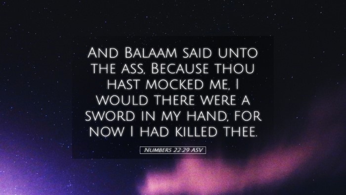 Picture 05 - Numbers 22:29 ASV Desktop Wallpaper - And Balaam said unto the ass, Because thou hast - Desktop Bible Verse Wallpaper