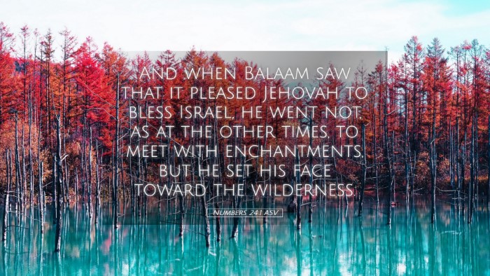 Picture 05 - Numbers 24:1 ASV Desktop Wallpaper - And when Balaam saw that it pleased Jehovah to - Desktop Bible Verse Wallpaper