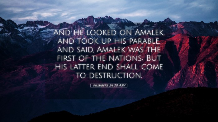 Picture 05 - Numbers 24:20 ASV Desktop Wallpaper - And he looked on Amalek, and took up his parable, - Desktop Bible Verse Wallpaper