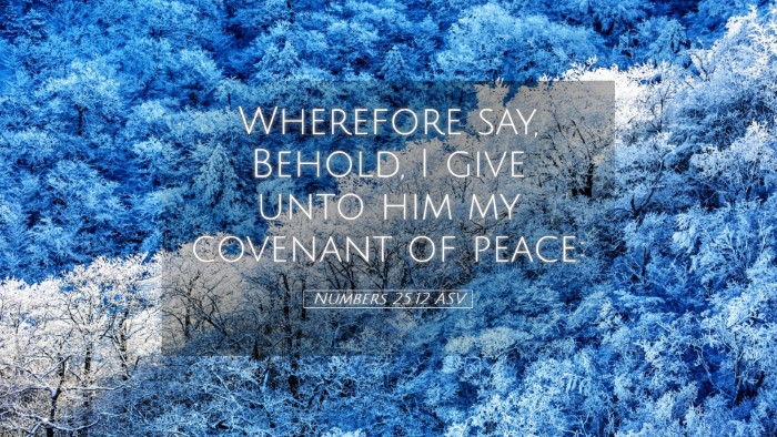 Picture 05 - Numbers 25:12 ASV Desktop Wallpaper - Wherefore say, Behold, I give unto him my - Desktop Bible Verse Wallpaper