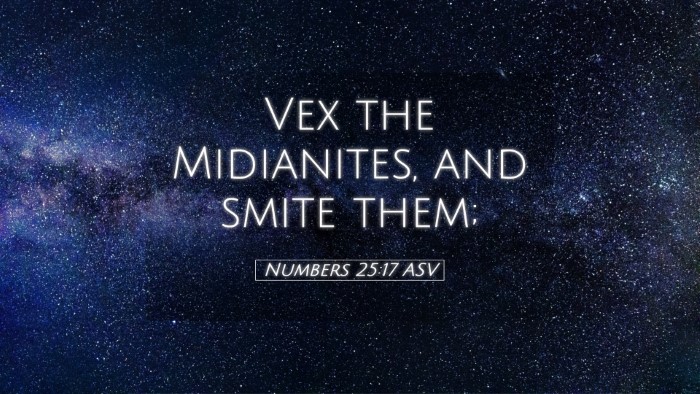 Picture 05 - Numbers 25:17 ASV Desktop Wallpaper - Vex the Midianites, and smite - Desktop Bible Verse Wallpaper