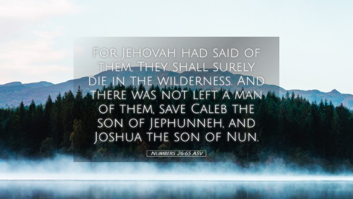 Picture 05 - Numbers 26:65 ASV Desktop Wallpaper - For Jehovah had said of them, They shall surely - Desktop Bible Verse Wallpaper