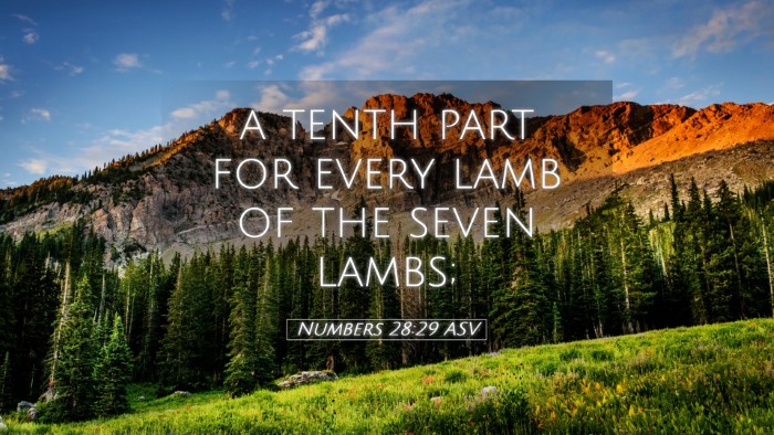 Picture 05 - Numbers 28:29 ASV Desktop Wallpaper - a tenth part for every lamb of the seven - Desktop Bible Verse Wallpaper