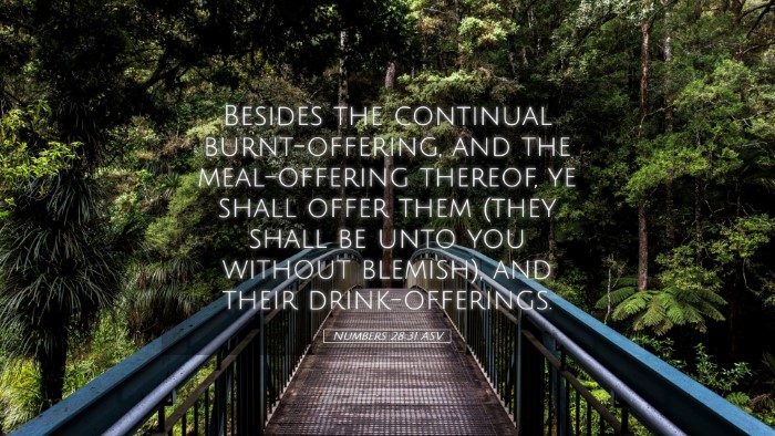 Picture 05 - Numbers 28:31 ASV Desktop Wallpaper - Besides the continual burnt-offering, and the - Desktop Bible Verse Wallpaper