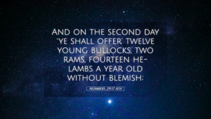 Picture 05 - Numbers 29:17 ASV Desktop Wallpaper - And on the second day `ye shall offer' twelve - Desktop Bible Verse Wallpaper