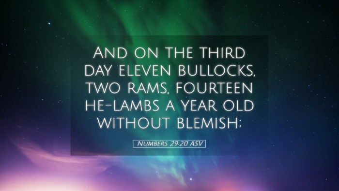 Picture 05 - Numbers 29:20 ASV Desktop Wallpaper - And on the third day eleven bullocks, two rams, - Desktop Bible Verse Wallpaper