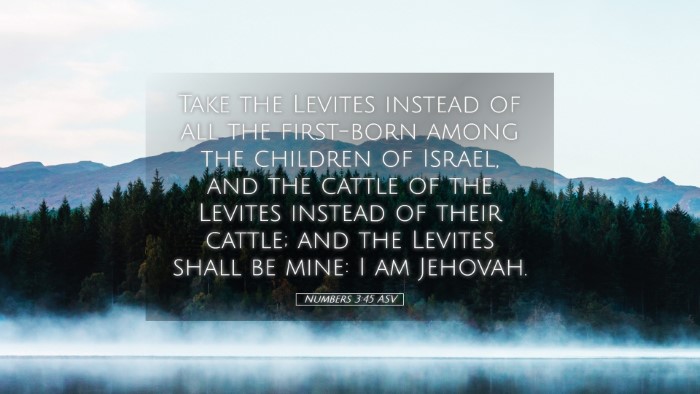 Picture 05 - Numbers 3:45 ASV Desktop Wallpaper - Take the Levites instead of all the first-born - Desktop Bible Verse Wallpaper