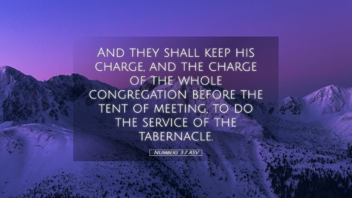 Picture 05 - Numbers 3:7 ASV Desktop Wallpaper - And they shall keep his charge, and the charge of - Desktop Bible Verse Wallpaper