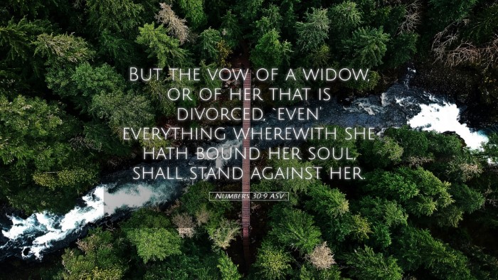 Picture 05 - Numbers 30:9 ASV Desktop Wallpaper - But the vow of a widow, or of her that is - Desktop Bible Verse Wallpaper