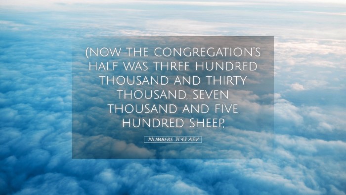 Picture 05 - Numbers 31:43 ASV Desktop Wallpaper - (now the congregation's half was three hundred - Desktop Bible Verse Wallpaper
