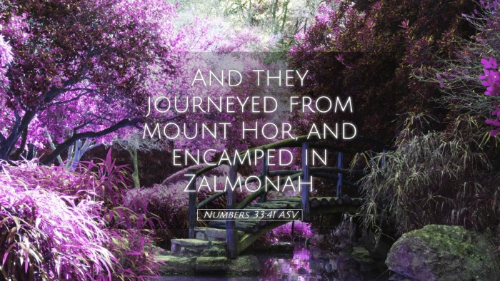 Picture 05 - Numbers 33:41 ASV Desktop Wallpaper - And they journeyed from mount Hor, and encamped - Desktop Bible Verse Wallpaper