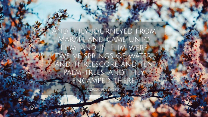 Picture 05 - Numbers 33:9 ASV Desktop Wallpaper - And they journeyed from Marah, and came unto - Desktop Bible Verse Wallpaper