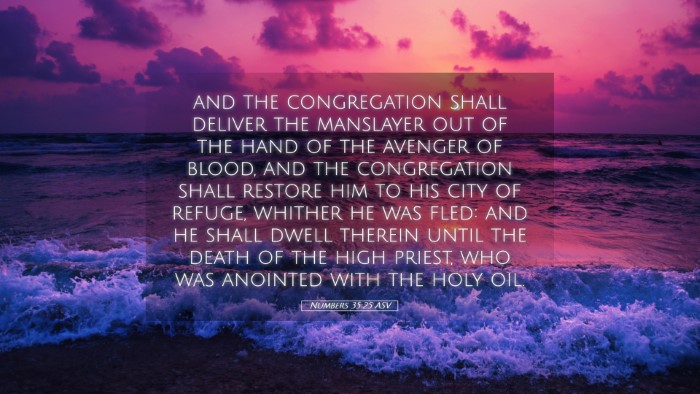 Picture 05 - Numbers 35:25 ASV Desktop Wallpaper - and the congregation shall deliver the manslayer - Desktop Bible Verse Wallpaper