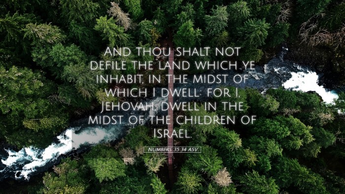Picture 05 - Numbers 35:34 ASV Desktop Wallpaper - And thou shalt not defile the land which ye - Desktop Bible Verse Wallpaper