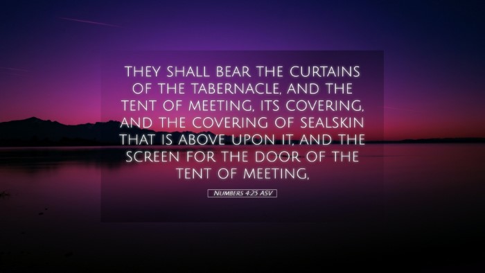 Picture 05 - Numbers 4:25 ASV Desktop Wallpaper - they shall bear the curtains of the tabernacle, - Desktop Bible Verse Wallpaper