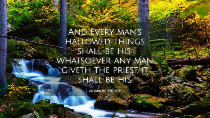 Picture 05 - Numbers 5:10 ASV Desktop Wallpaper - And every man's hallowed things shall be his: - Desktop Bible Verse Wallpaper