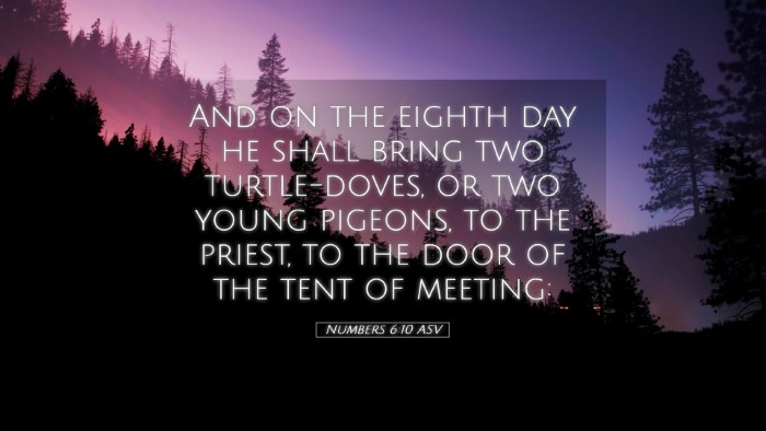 Picture 05 - Numbers 6:10 ASV Desktop Wallpaper - And on the eighth day he shall bring two - Desktop Bible Verse Wallpaper