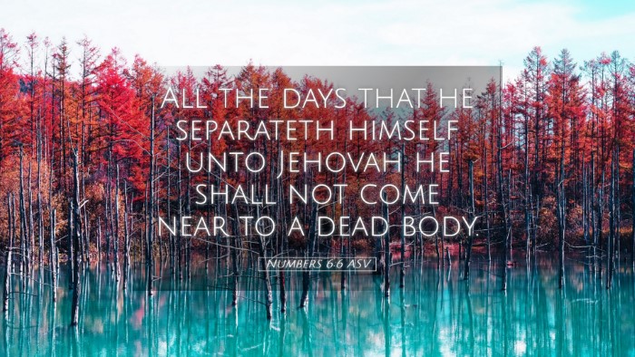 Picture 05 - Numbers 6:6 ASV Desktop Wallpaper - All the days that he separateth himself unto - Desktop Bible Verse Wallpaper