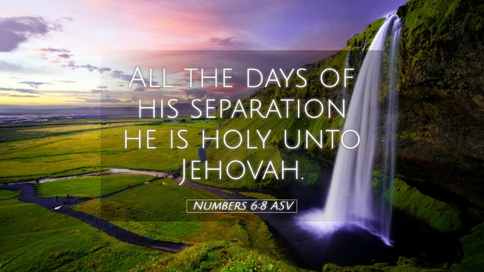 Picture 05 - Numbers 6:8 ASV Desktop Wallpaper - All the days of his separation he is holy unto - Desktop Bible Verse Wallpaper