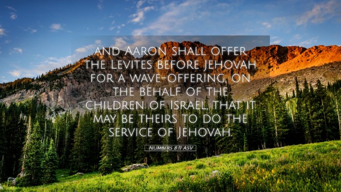 Picture 05 - Numbers 8:11 ASV Desktop Wallpaper - and Aaron shall offer the Levites before Jehovah - Desktop Bible Verse Wallpaper