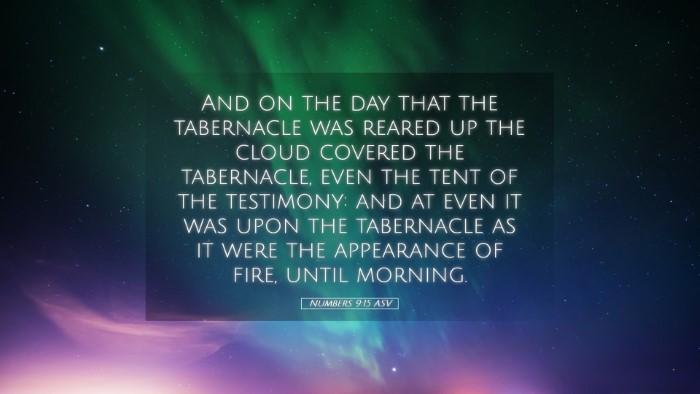 Picture 05 - Numbers 9:15 ASV Desktop Wallpaper - And on the day that the tabernacle was reared up - Desktop Bible Verse Wallpaper