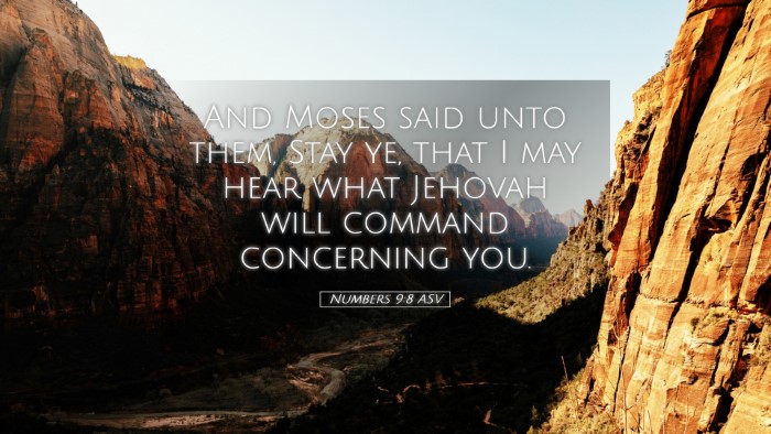 Picture 05 - Numbers 9:8 ASV Desktop Wallpaper - And Moses said unto them, Stay ye, that I may - Desktop Bible Verse Wallpaper