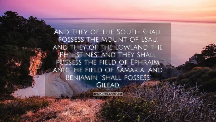 Picture 05 - Obadiah 1:19 ASV Desktop Wallpaper - And they of the South shall possess the mount of - Desktop Bible Verse Wallpaper