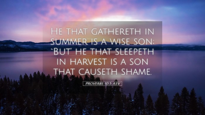 Picture 05 - Proverbs 10:5 ASV Desktop Wallpaper - He that gathereth in summer is a wise son; `But' - Desktop Bible Verse Wallpaper