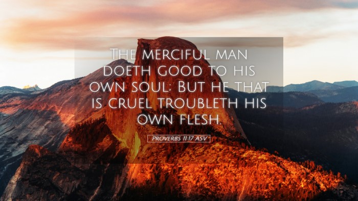 Picture 05 - Proverbs 11:17 ASV Desktop Wallpaper - The merciful man doeth good to his own soul; But - Desktop Bible Verse Wallpaper