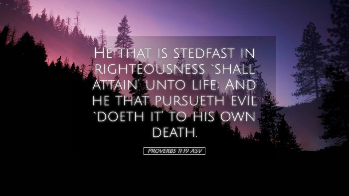 Picture 05 - Proverbs 11:19 ASV Desktop Wallpaper - He that is stedfast in righteousness `shall - Desktop Bible Verse Wallpaper