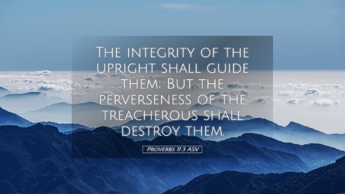 Picture 05 - Proverbs 11:3 ASV Desktop Wallpaper - The integrity of the upright shall guide them; - Desktop Bible Verse Wallpaper
