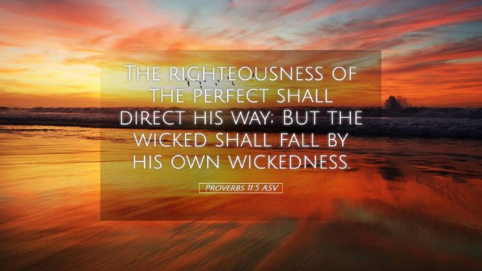 Picture 05 - Proverbs 11:5 ASV Desktop Wallpaper - The righteousness of the perfect shall direct his - Desktop Bible Verse Wallpaper