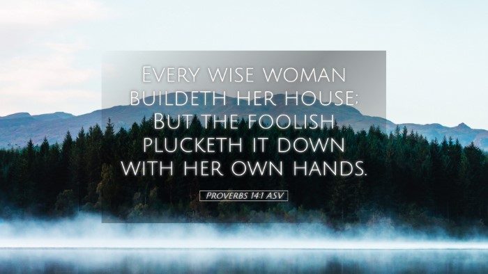 Picture 05 - Proverbs 14:1 ASV Desktop Wallpaper - Every wise woman buildeth her house; But the - Desktop Bible Verse Wallpaper