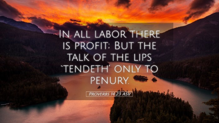 Picture 05 - Proverbs 14:23 ASV Desktop Wallpaper - In all labor there is profit; But the talk of the - Desktop Bible Verse Wallpaper