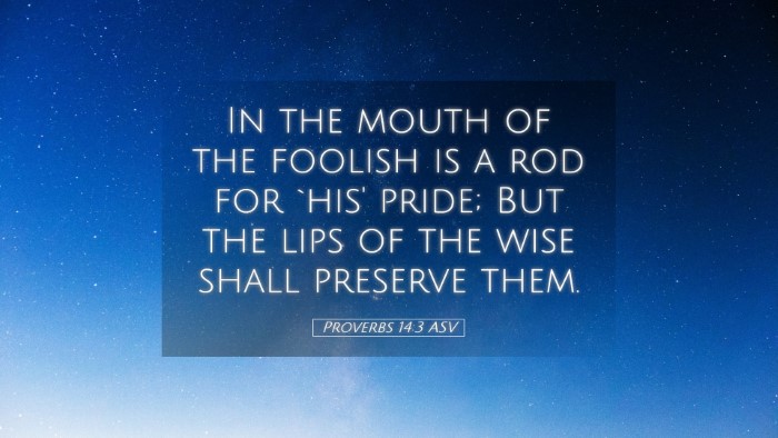 Picture 05 - Proverbs 14:3 ASV Desktop Wallpaper - In the mouth of the foolish is a rod for `his' - Desktop Bible Verse Wallpaper