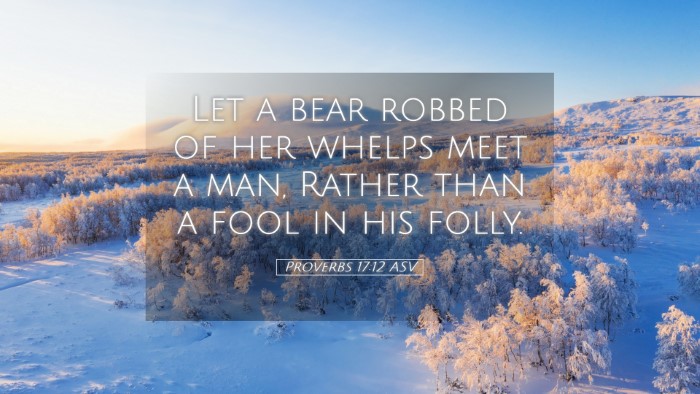 Picture 05 - Proverbs 17:12 ASV Desktop Wallpaper - Let a bear robbed of her whelps meet a man, - Desktop Bible Verse Wallpaper
