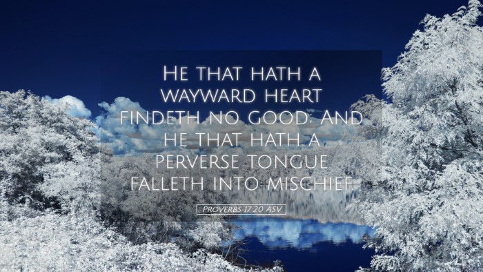 Picture 05 - Proverbs 17:20 ASV Desktop Wallpaper - He that hath a wayward heart findeth no good; And - Desktop Bible Verse Wallpaper