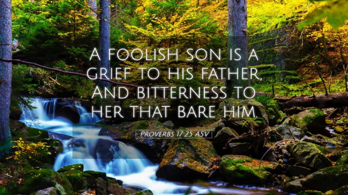 Picture 05 - Proverbs 17:25 ASV Desktop Wallpaper - A foolish son is a grief to his father, And - Desktop Bible Verse Wallpaper