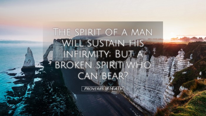 Picture 05 - Proverbs 18:14 ASV Desktop Wallpaper - The spirit of a man will sustain his infirmity; - Desktop Bible Verse Wallpaper