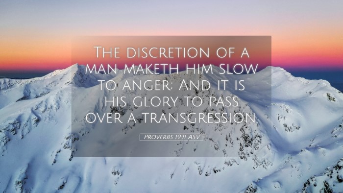 Picture 05 - Proverbs 19:11 ASV Desktop Wallpaper - The discretion of a man maketh him slow to anger; - Desktop Bible Verse Wallpaper