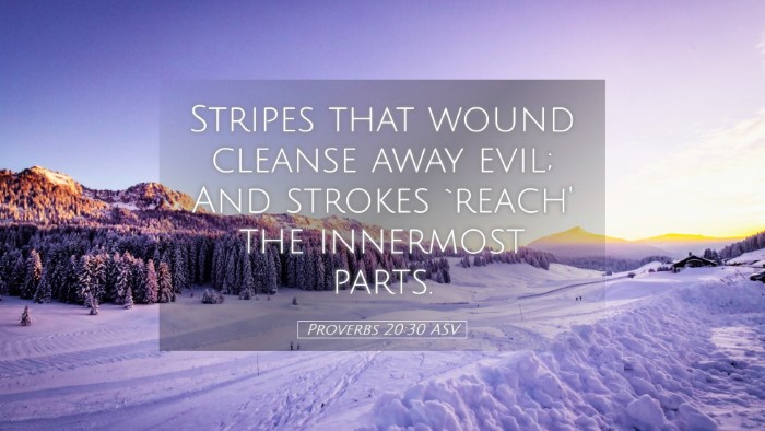 Picture 05 - Proverbs 20:30 ASV Desktop Wallpaper - Stripes that wound cleanse away evil; And strokes - Desktop Bible Verse Wallpaper
