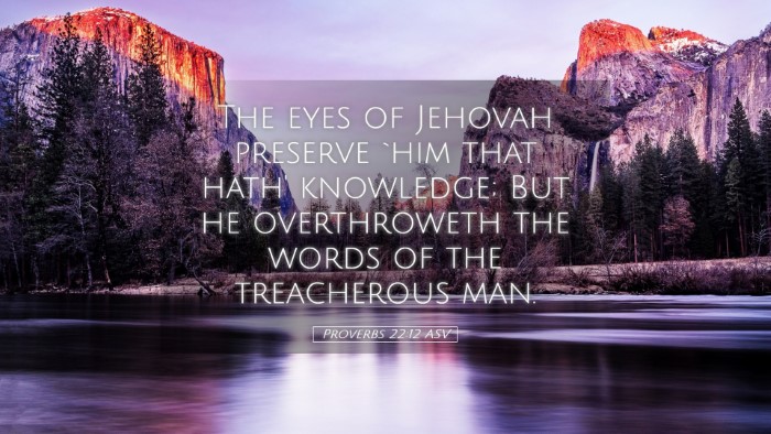 Picture 05 - Proverbs 22:12 ASV Desktop Wallpaper - The eyes of Jehovah preserve `him that hath' - Desktop Bible Verse Wallpaper