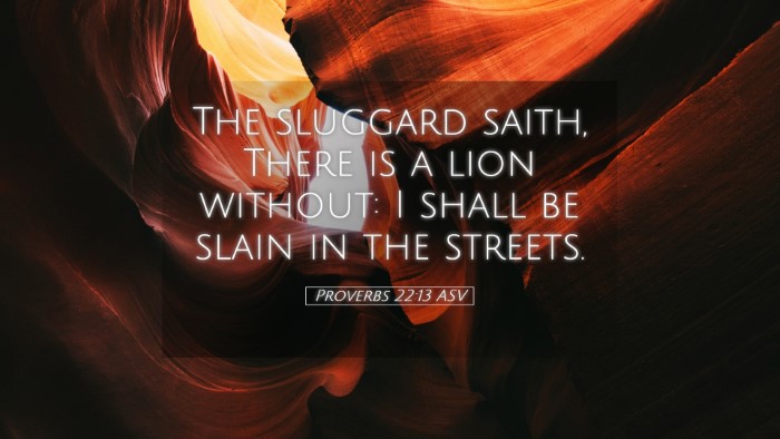 Picture 05 - Proverbs 22:13 ASV Desktop Wallpaper - The sluggard saith, There is a lion without: I - Desktop Bible Verse Wallpaper