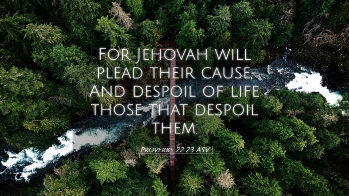 Picture 05 - Proverbs 22:23 ASV Desktop Wallpaper - For Jehovah will plead their cause, And despoil - Desktop Bible Verse Wallpaper