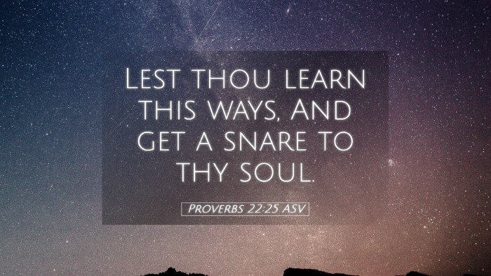 Picture 05 - Proverbs 22:25 ASV Desktop Wallpaper - Lest thou learn this ways, And get a snare to thy - Desktop Bible Verse Wallpaper