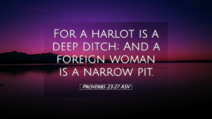 Picture 05 - Proverbs 23:27 ASV Desktop Wallpaper - For a harlot is a deep ditch; And a foreign woman - Desktop Bible Verse Wallpaper